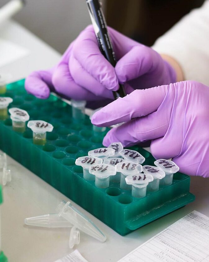 Lab worker performing functional testing Lab worker performing functional testing
